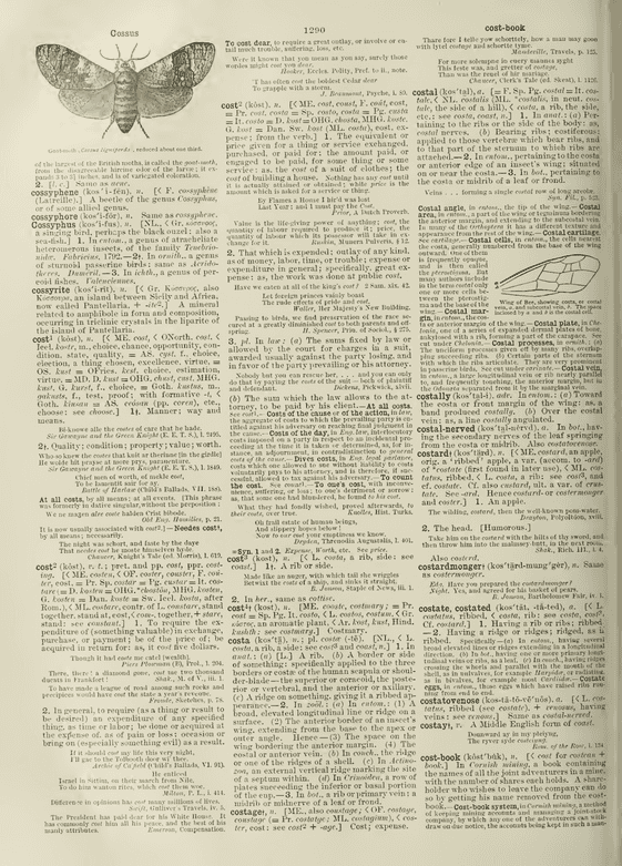 Century Dictionary - Cost Century Dictionary - Cost