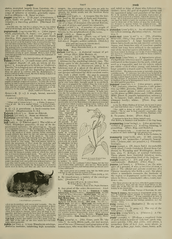 Century Dictionary - yager Century Dictionary - yager