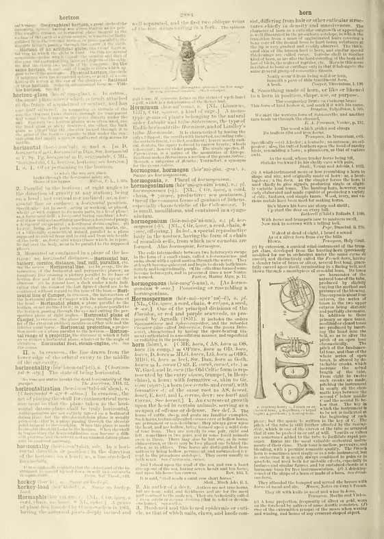 Century Dictionary - horn Century Dictionary - horn