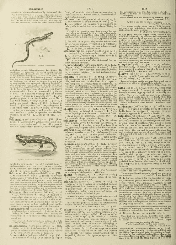 Century Dictionary - sale
