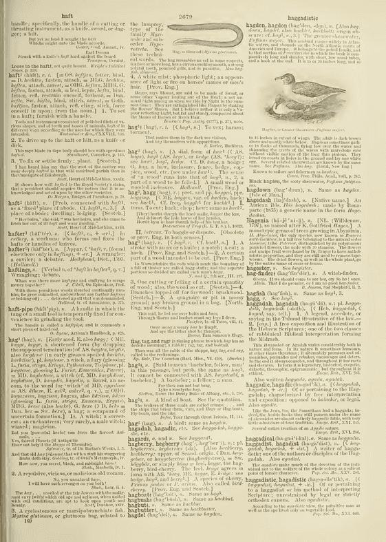 English Dialect Dictionary - hag