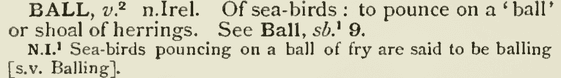 Ball Ball