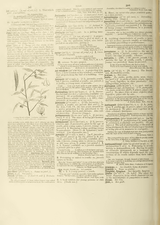 Century Dictionary - jut Century Dictionary - jut