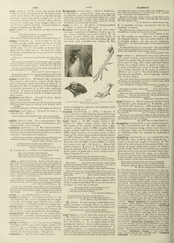 The Century dictionary - rasp