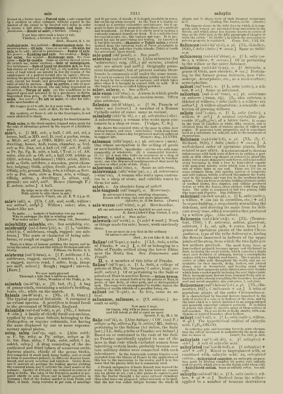 Century Dictionary - sale