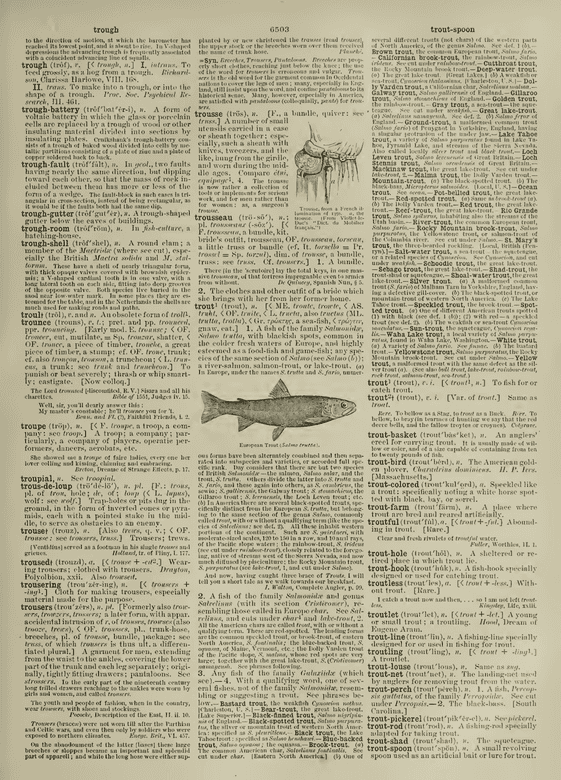 Century Dictionary - trough