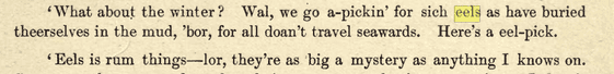May in Broadland - A. Patterson - 1895 May in Broadland - A. Patterson - 1895