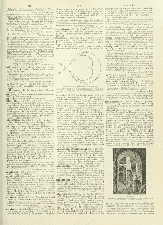 Century Dictionary - cat Century Dictionary - cat