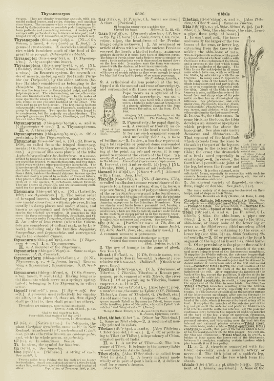 Century Dictionary - thibet/tibet