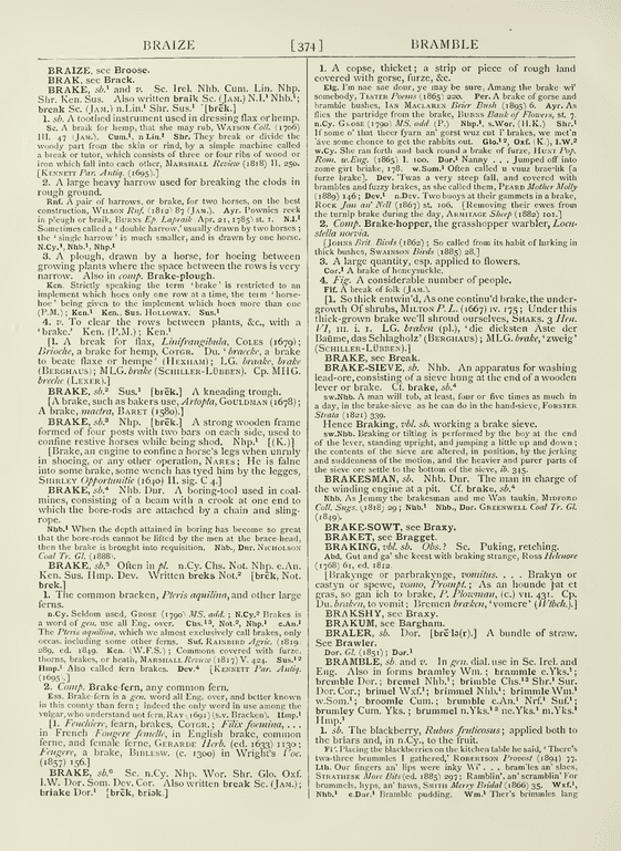 The English dialect dictionary - braize The English dialect dictionary - braize