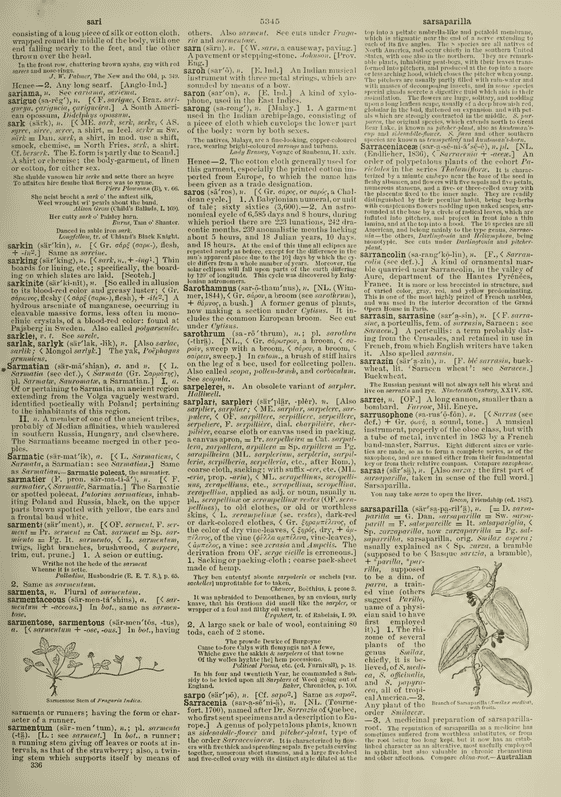 Century Dictionary - sarplar